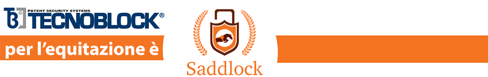banner_saddlock.png (960×152)